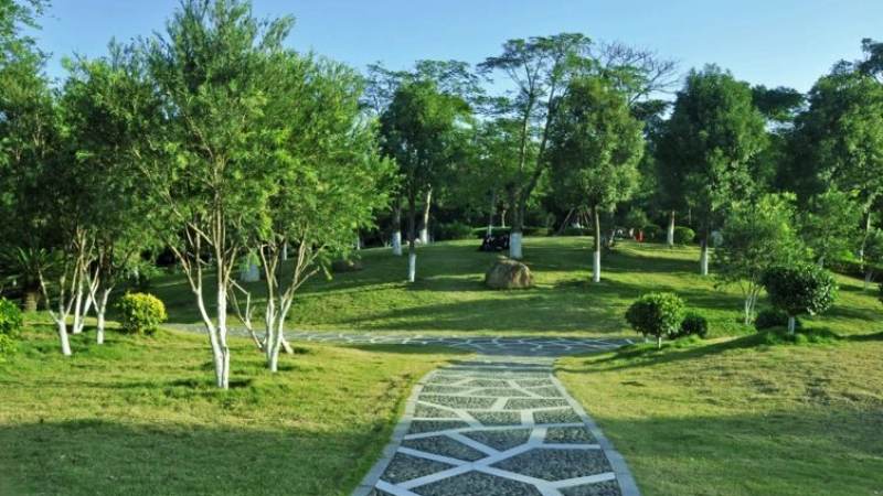 电子娱乐平台中文客服到底能解决哪些问题?使用场景与判断标准